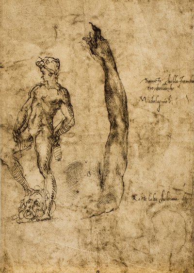 Study for the statue of David by Michelangelo Buonarroti